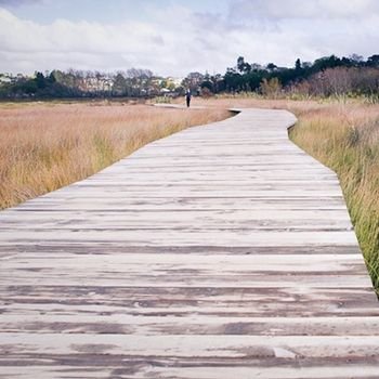 Boardwalk near the estuary 
