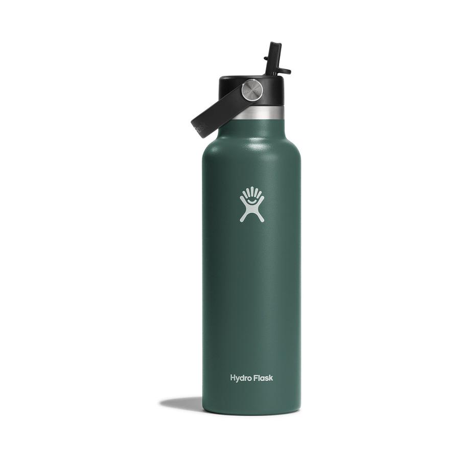Hydro Flask 21oz (621ml) Standard Mouth Drink Bottle w/ Flex Straw Cap Fir Fir