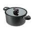 Scanpan IQ 26cm (6.5L) Dutch Oven Black
