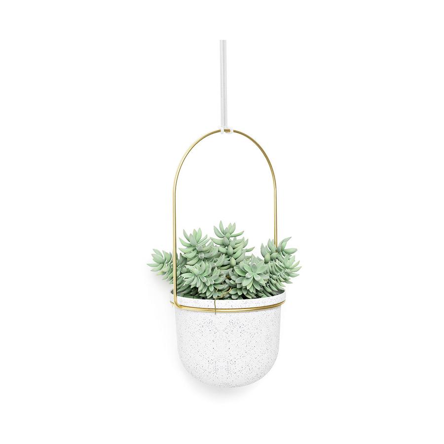 Umbra Triflora Hanging Planter (Set of 5) White/Brass White/Brass