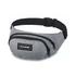 Dakine Hip Pack Geyser Grey