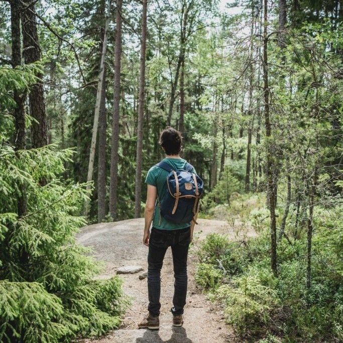 man on a bush walk