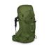 Osprey Aether 65 Small/Medium Men's Mountaineering Backpack Garlic Mustard Green