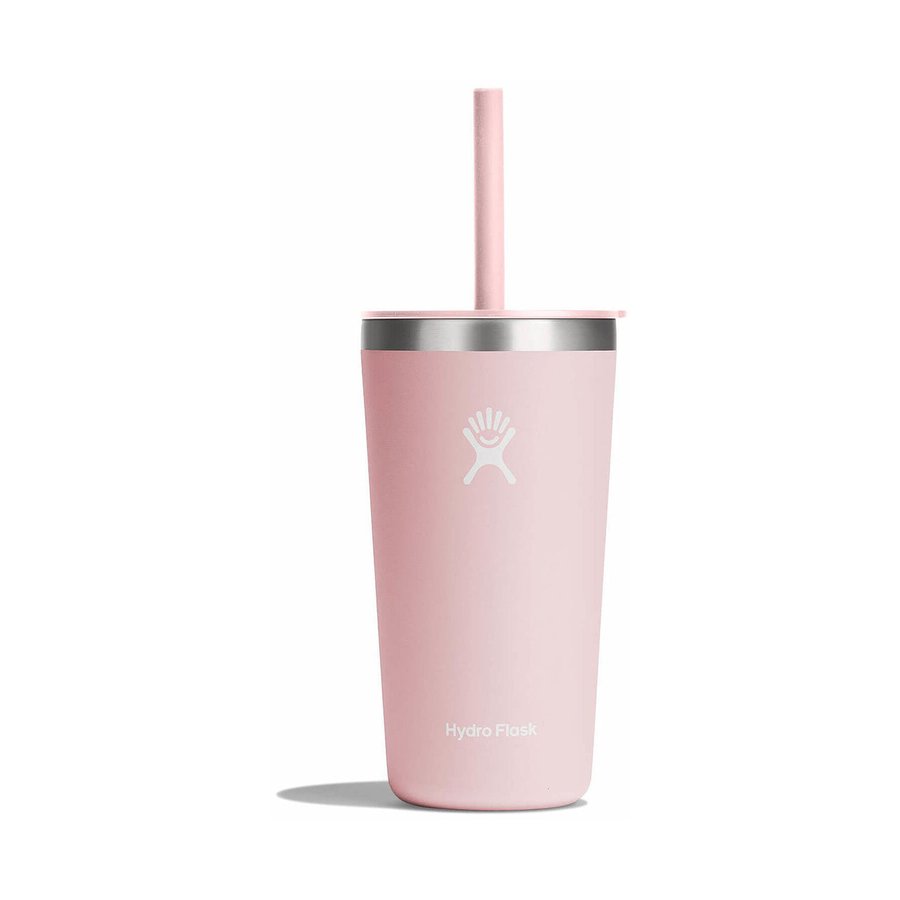 Hydro Flask 20oz (591mL) All Around Tumbler w/ Straw Lid Trillium Trillium