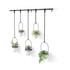 Umbra Triflora Hanging Planter (Set of 5) White