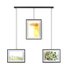 Umbra Exhibit Wall Picture Frames (Set of 3) Black