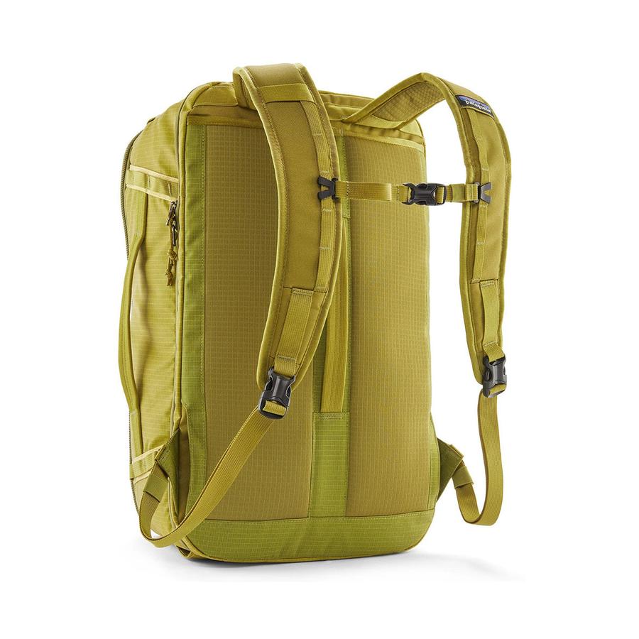 Patagonia Black Hole Mini MLC 30L Graze Green Graze Green