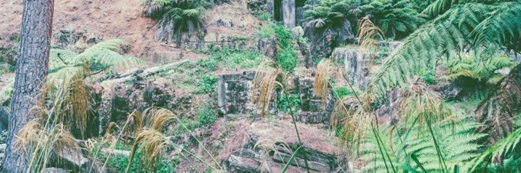 Union Hill/Mill Stream Walkway – Waihi, Hauraki