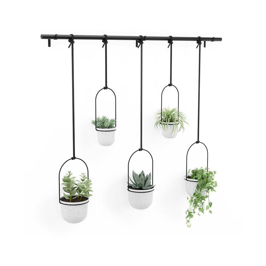 Umbra Triflora Hanging Planter (Set of 5) White White