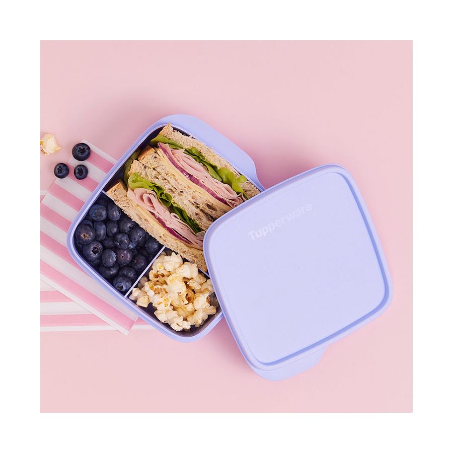 Tupperware Divided Lunchbox 550ml Blueberry Mist Blueberry Mist