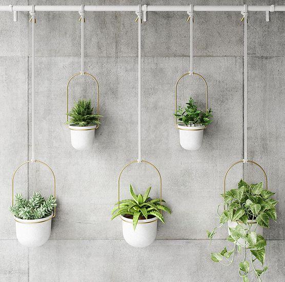 Planters