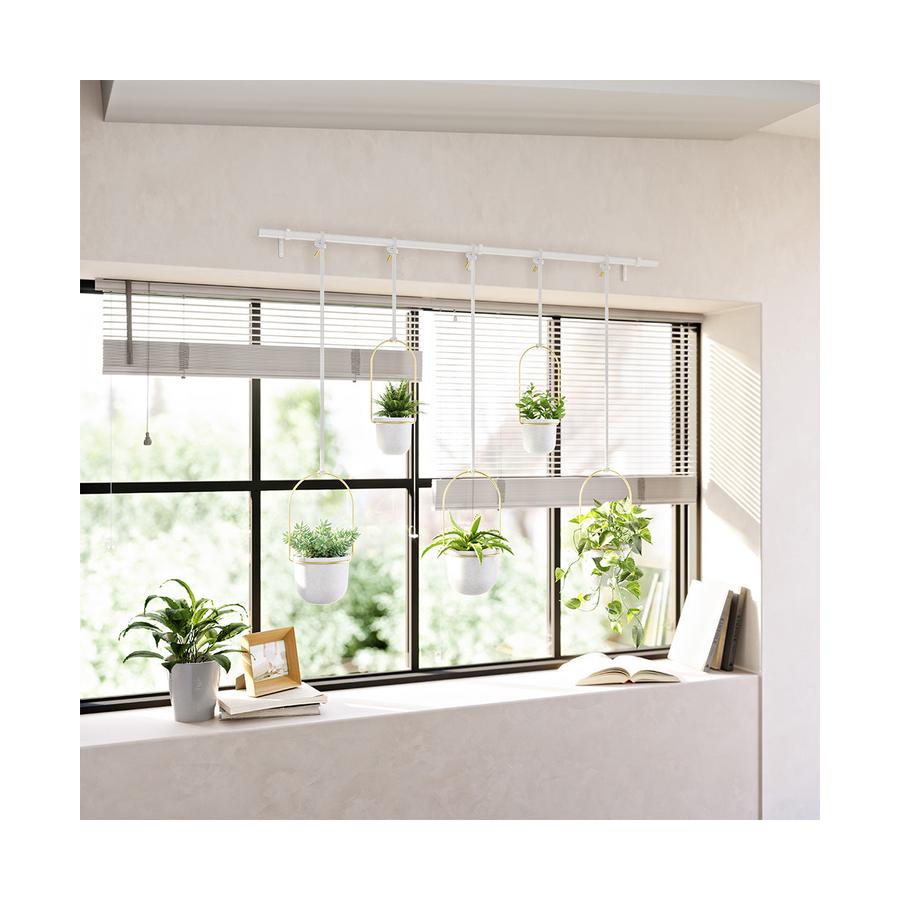 Umbra Triflora Hanging Planter (Set of 5) White/Brass White/Brass