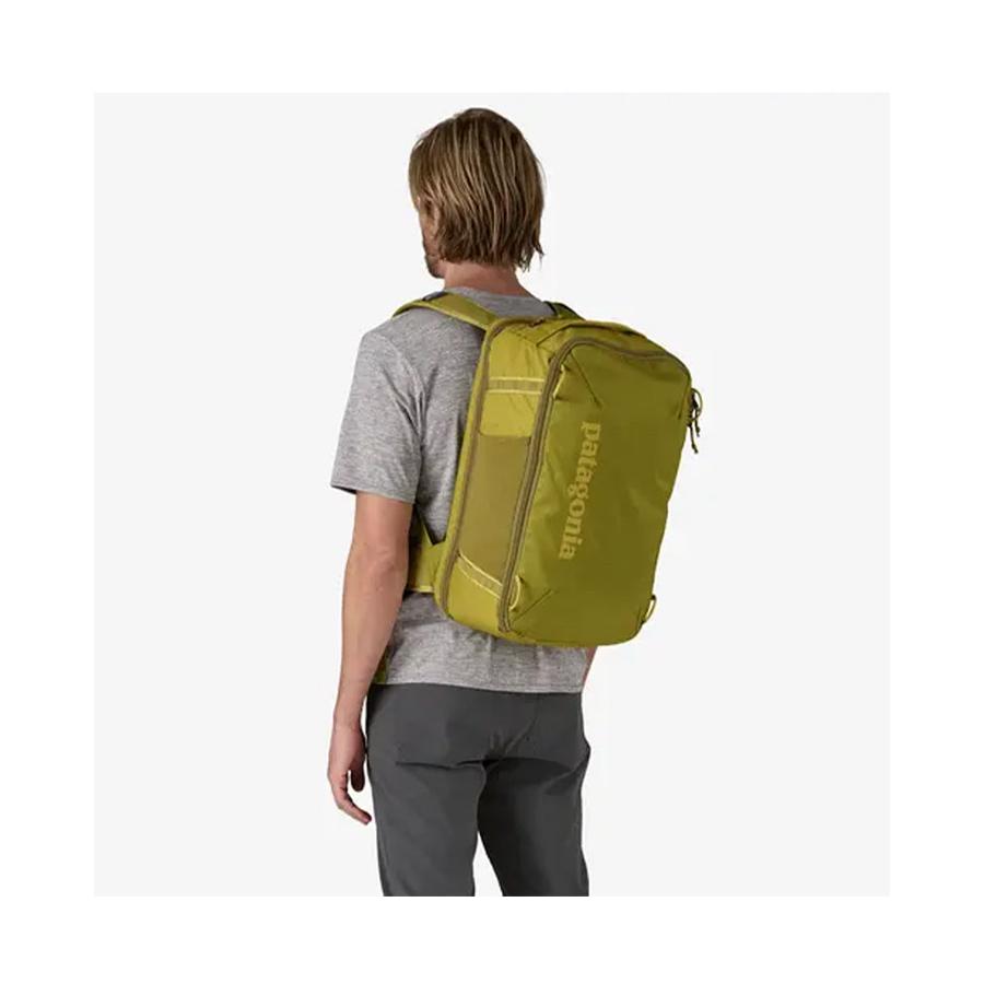 Patagonia Black Hole Mini MLC 30L Graze Green Graze Green