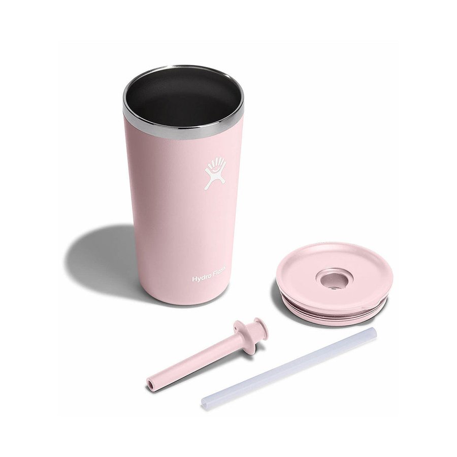 Hydro Flask 20oz (591mL) All Around Tumbler w/ Straw Lid Trillium Trillium