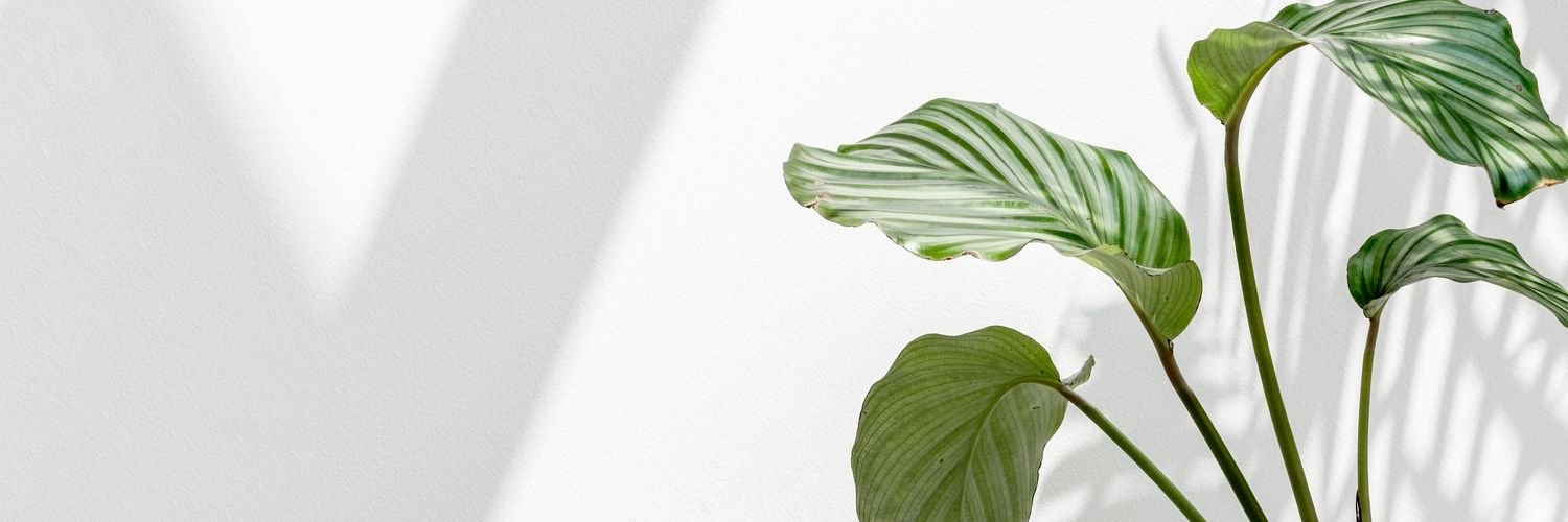 Umbra | Where Modern Design Meets Functionality