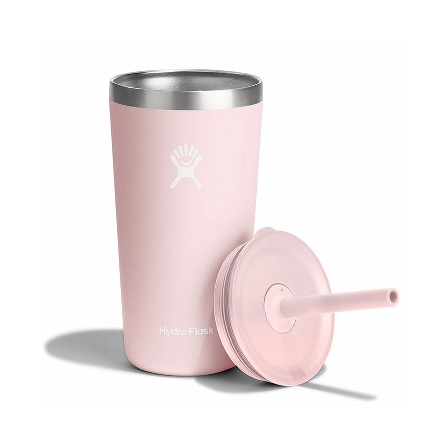 Hydro Flask 20oz (591mL) All Around Tumbler w/ Straw Lid Trillium Trillium