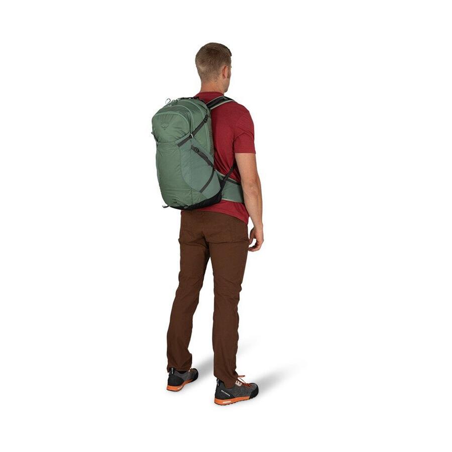 Osprey Sportlite 25 Small/Medium Hiking Backpack Pine Leaf Green Pine Leaf Green