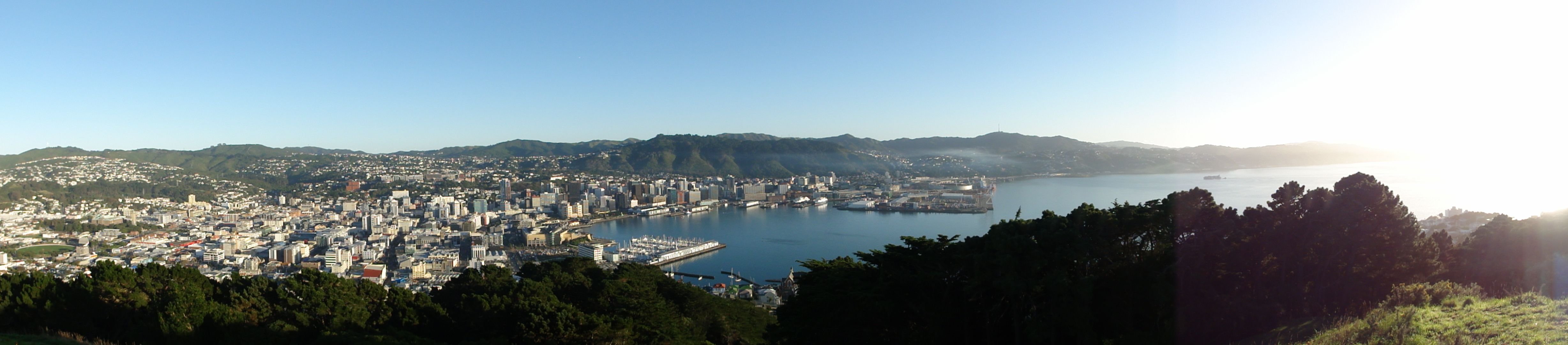 Wellington: A Dream Getaway To-Do List