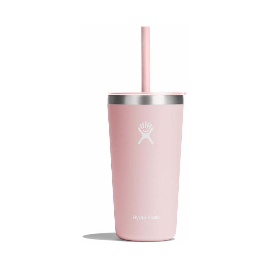 Hydro Flask 20oz (591mL) All Around Tumbler w/ Straw Lid Trillium Trillium