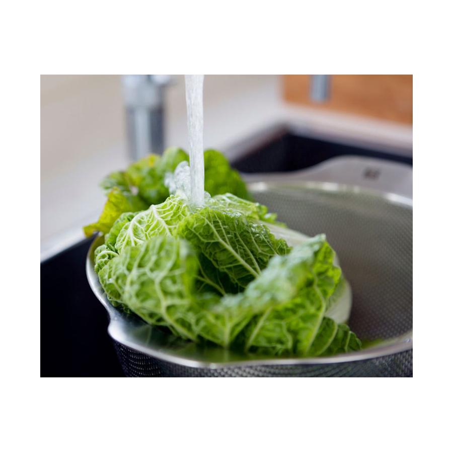 Zwilling 16cm Strainer Stainless Steel Stainless Steel