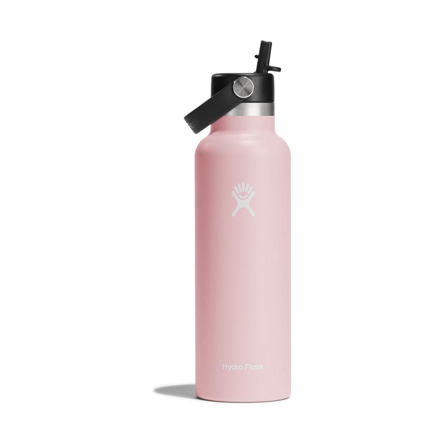 Hydro Flask 21oz (621ml) Standard Mouth Drink Bottle w/ Flex Straw Cap Trillium Trillium