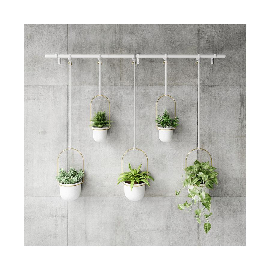 Umbra Triflora Hanging Planter (Set of 5) White/Brass White/Brass
