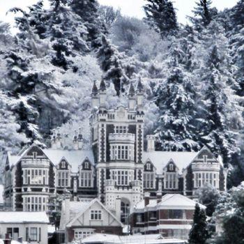 6. Dunedin