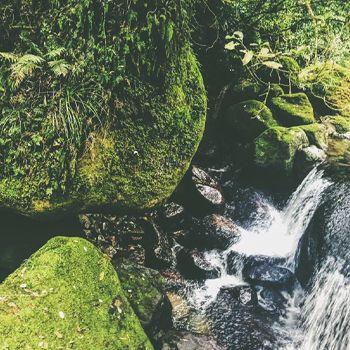 Mossy rocks and small waterfalls