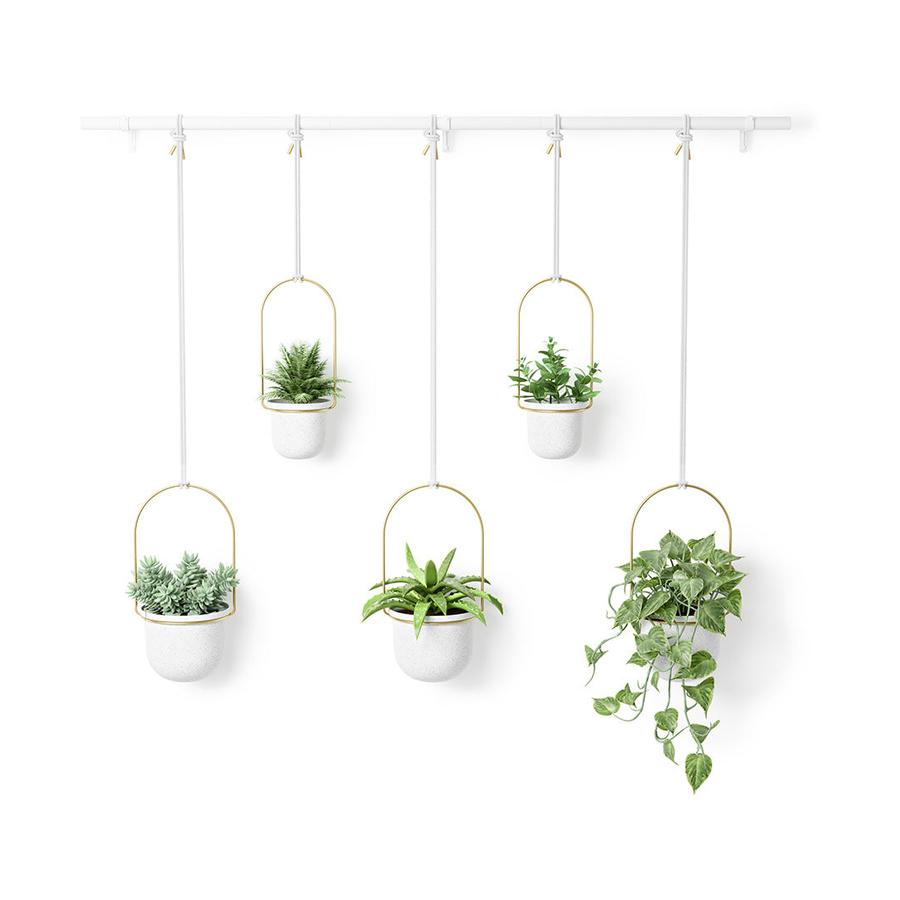 Umbra Triflora Hanging Planter (Set of 5) White/Brass White/Brass