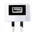 Samsonite Pocket Sized USB Charger White