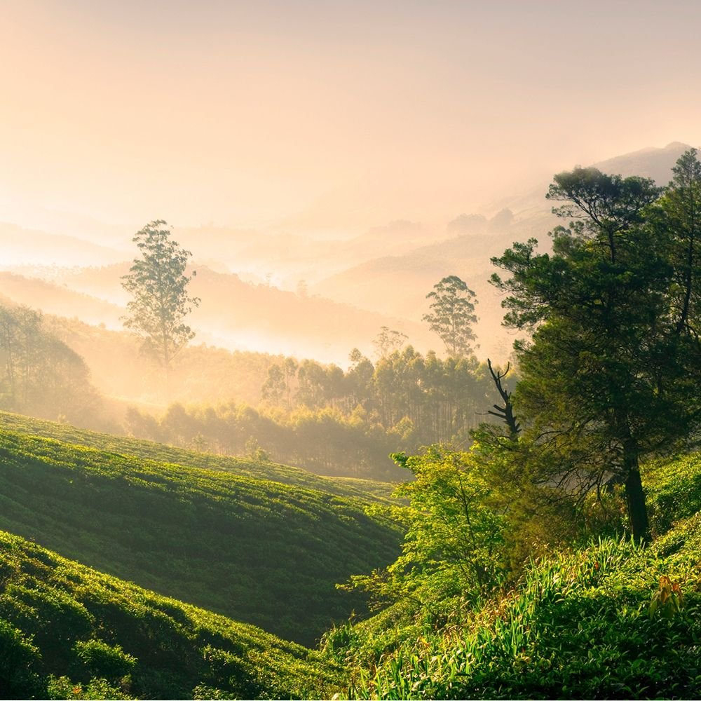 The Great Kiwi Road Trip with Camplify