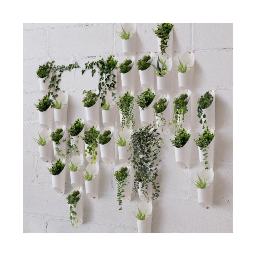 Umbra Floralink Wall Vessel White White