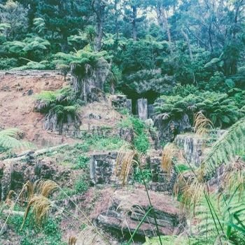 Union Hill/Mill Stream Walkway – Waihi, Hauraki
