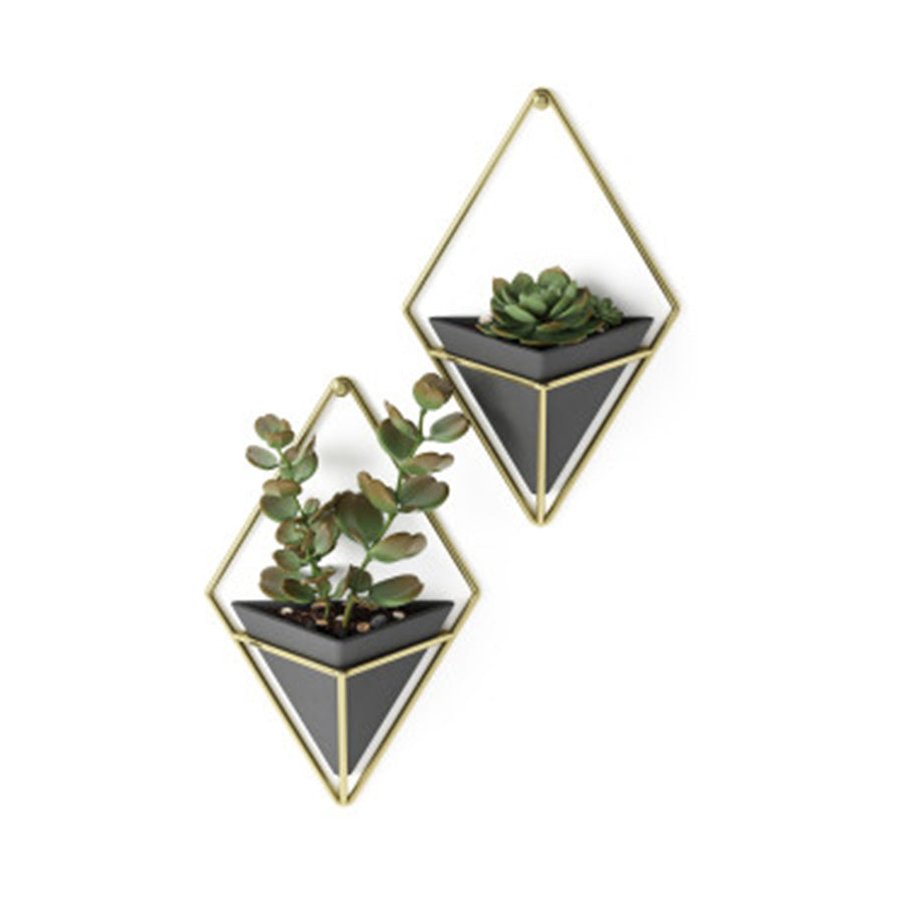Umbra Trigg Small Wall Vessel Black/Brass Black/Brass