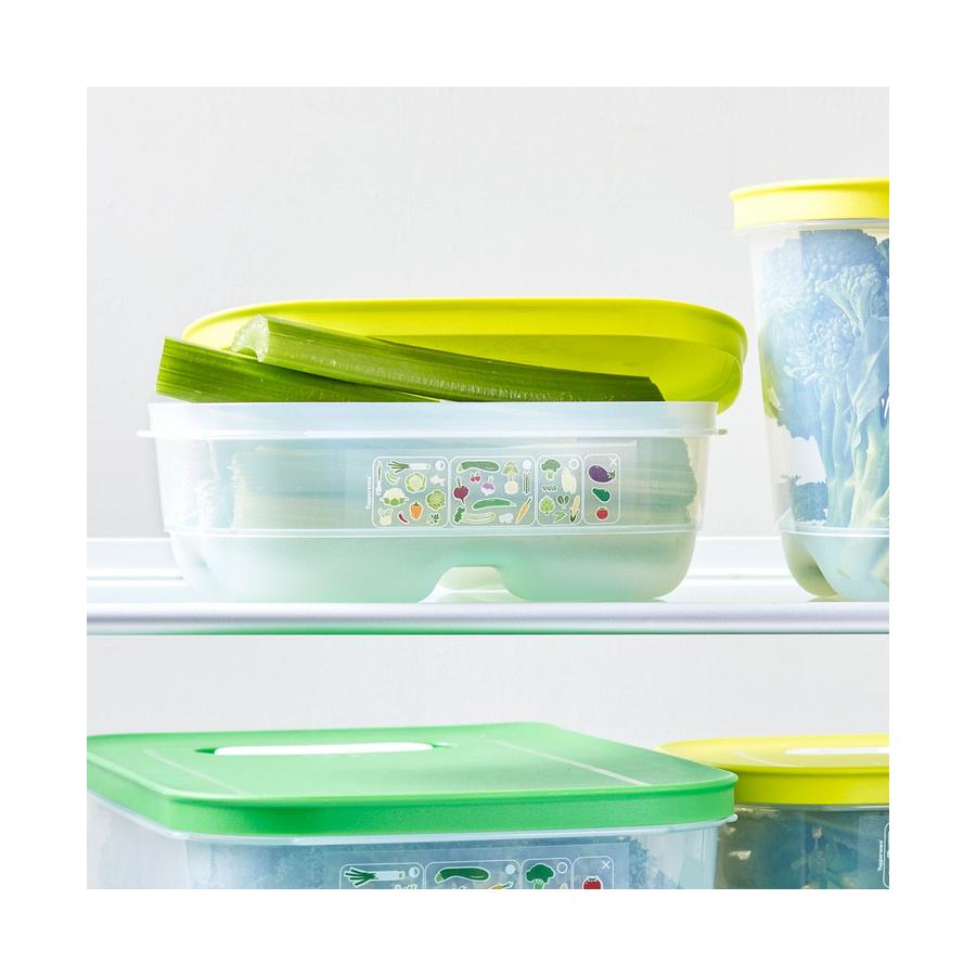 Tupperware VentSmart Rectangle Small Low 800ml Container Green Green