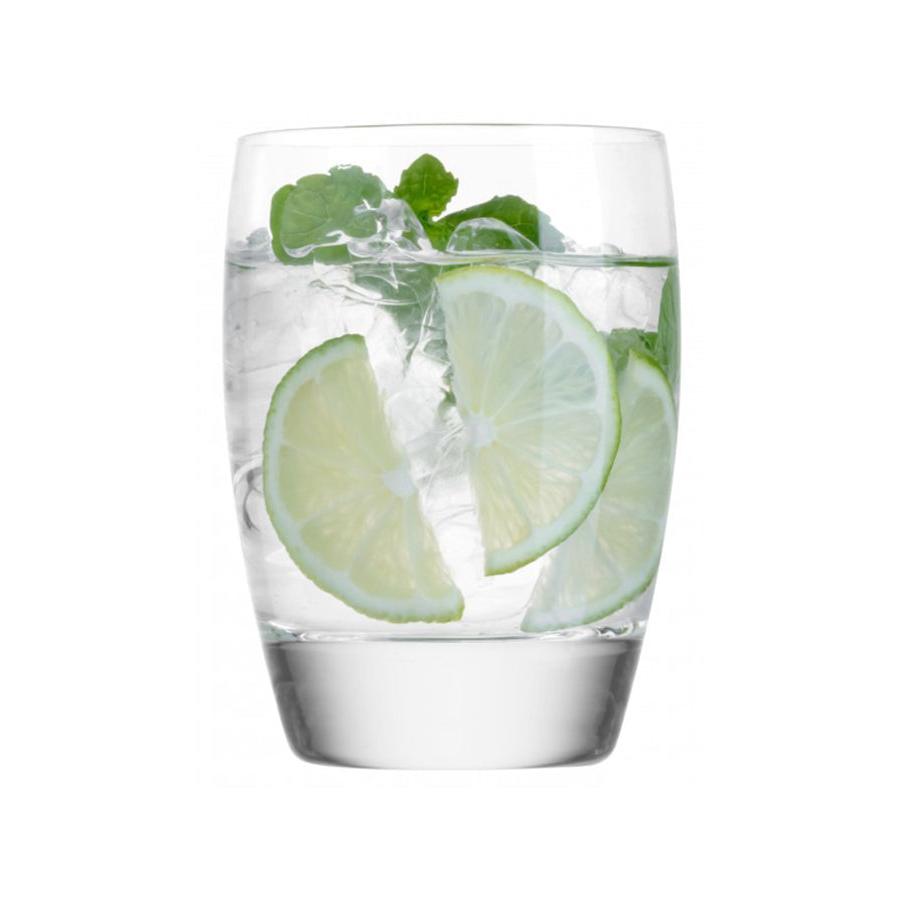 Luigi Bormioli Michelangelo 345ml DOF Tumbler Gift Set of 4 Clear Clear