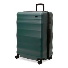 Checked Luggage