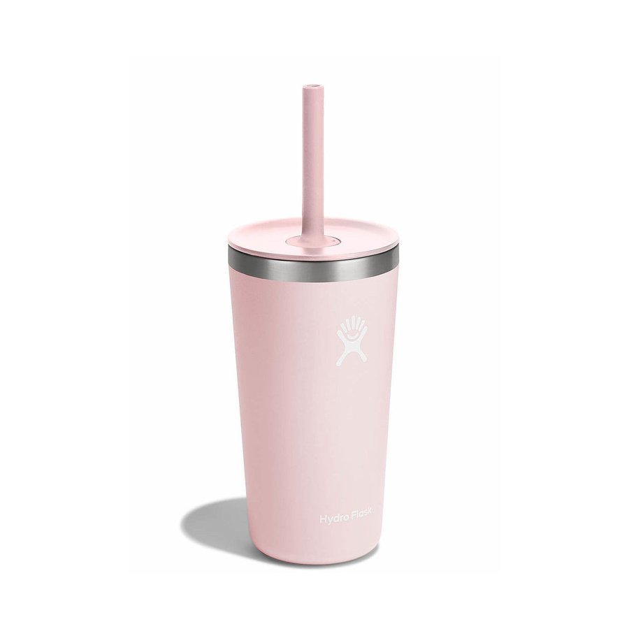 Hydro Flask 20oz (591mL) All Around Tumbler w/ Straw Lid Trillium Trillium