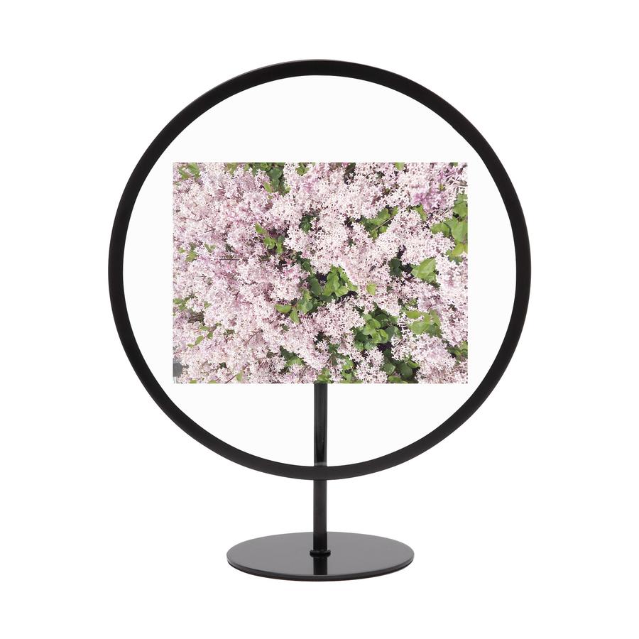 Umbra Infinity Floating Round Picture Frame - 10cm x 15cm Black Black