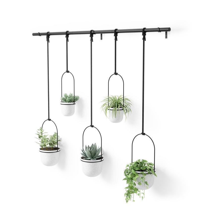 Umbra Triflora Hanging Planter (Set of 5) White White