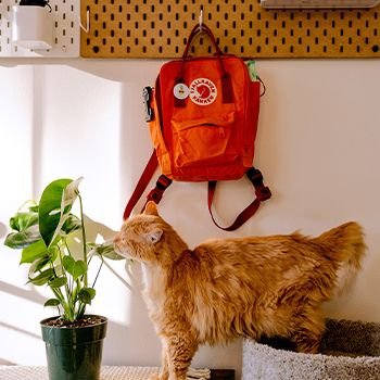 Top 10 Bestsellers at Luggage.co.nz