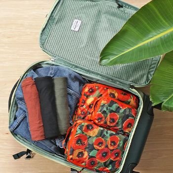 Rolled clothes in a suitcase