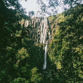 Top of the waterfall at Wairere Falls