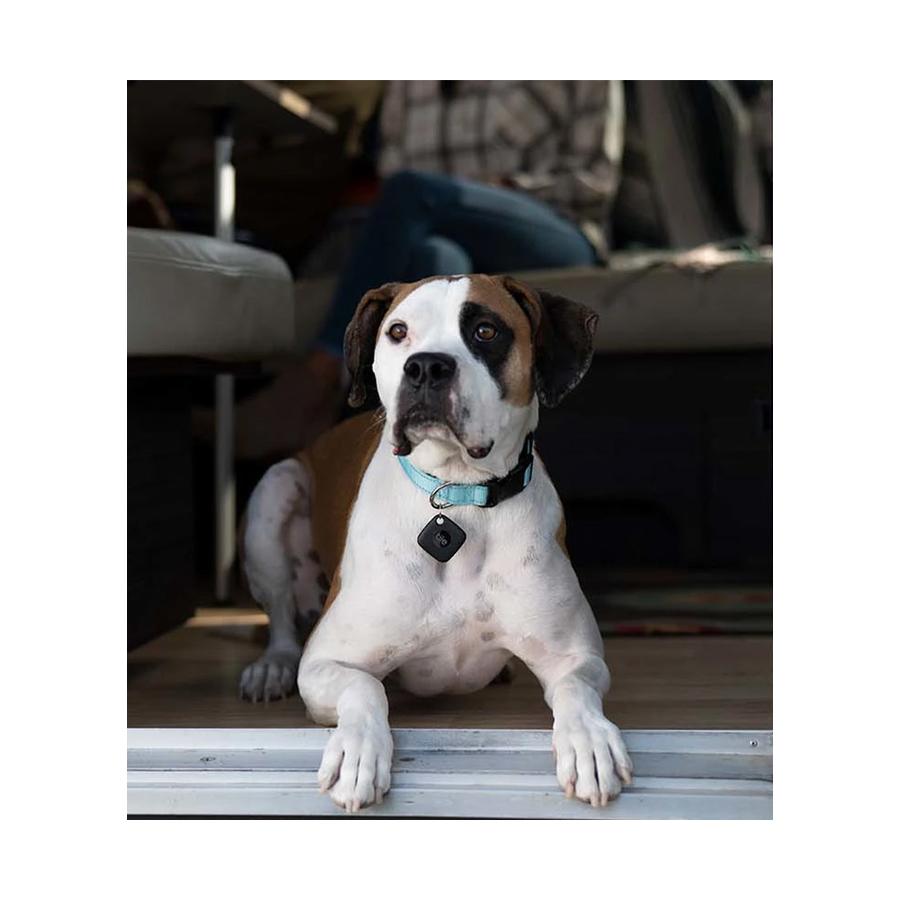 Tile Mate Tracker 2 Pack Black & White Black & White