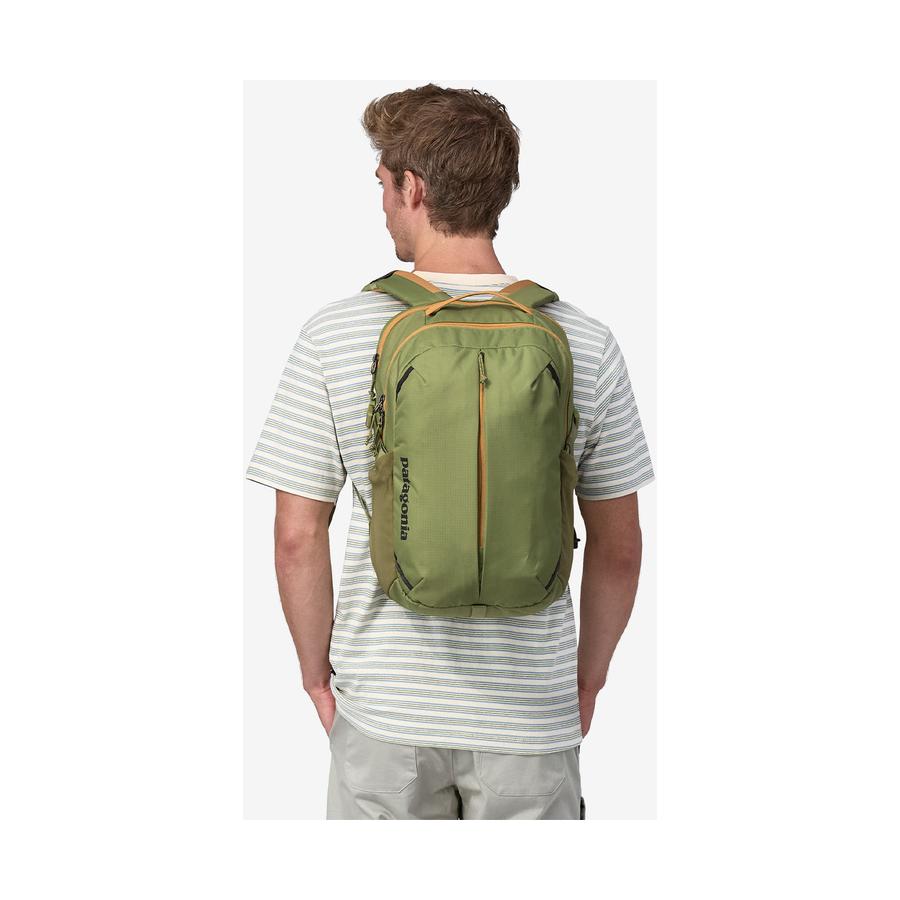 Patagonia Refugio Daypack 26L Buckhorn Green Buckhorn Green