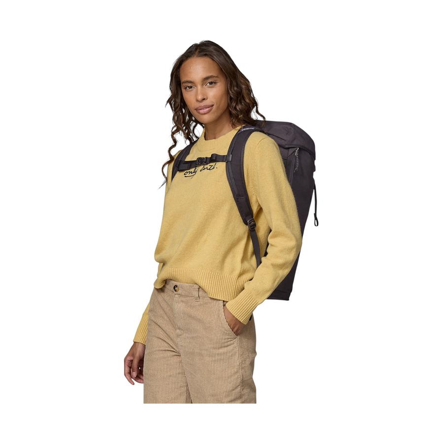 Patagonia Fieldsmith Lid Pack 28L Black Black