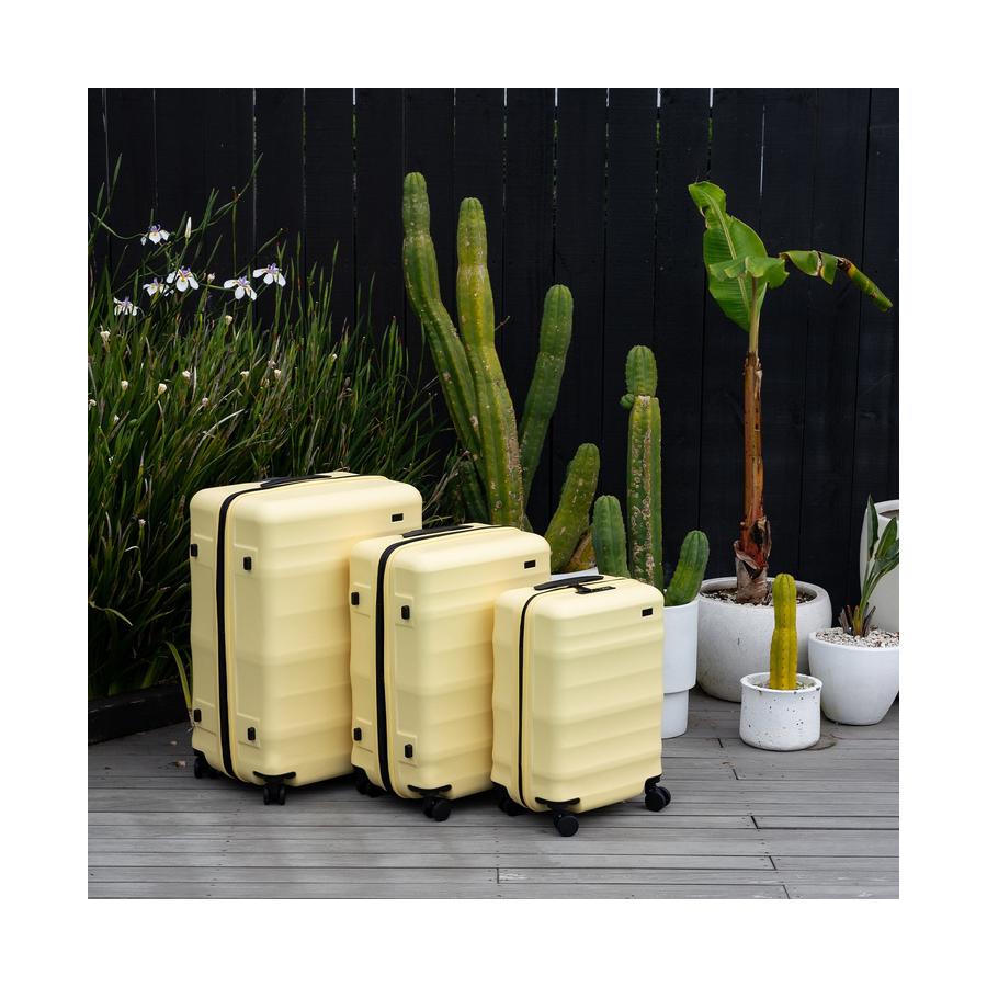 Luna-Air Set of 3 Pina Colada