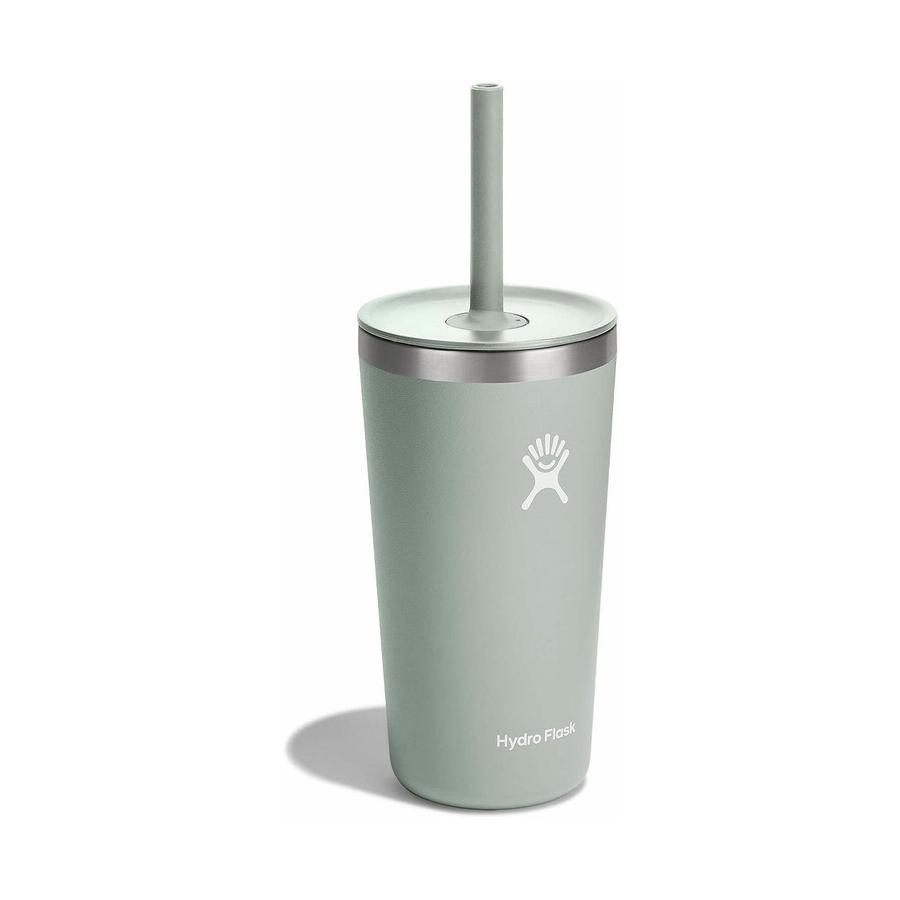Hydro Flask 20oz (591mL) All Around Tumbler w/ Straw Lid Agave Agave
