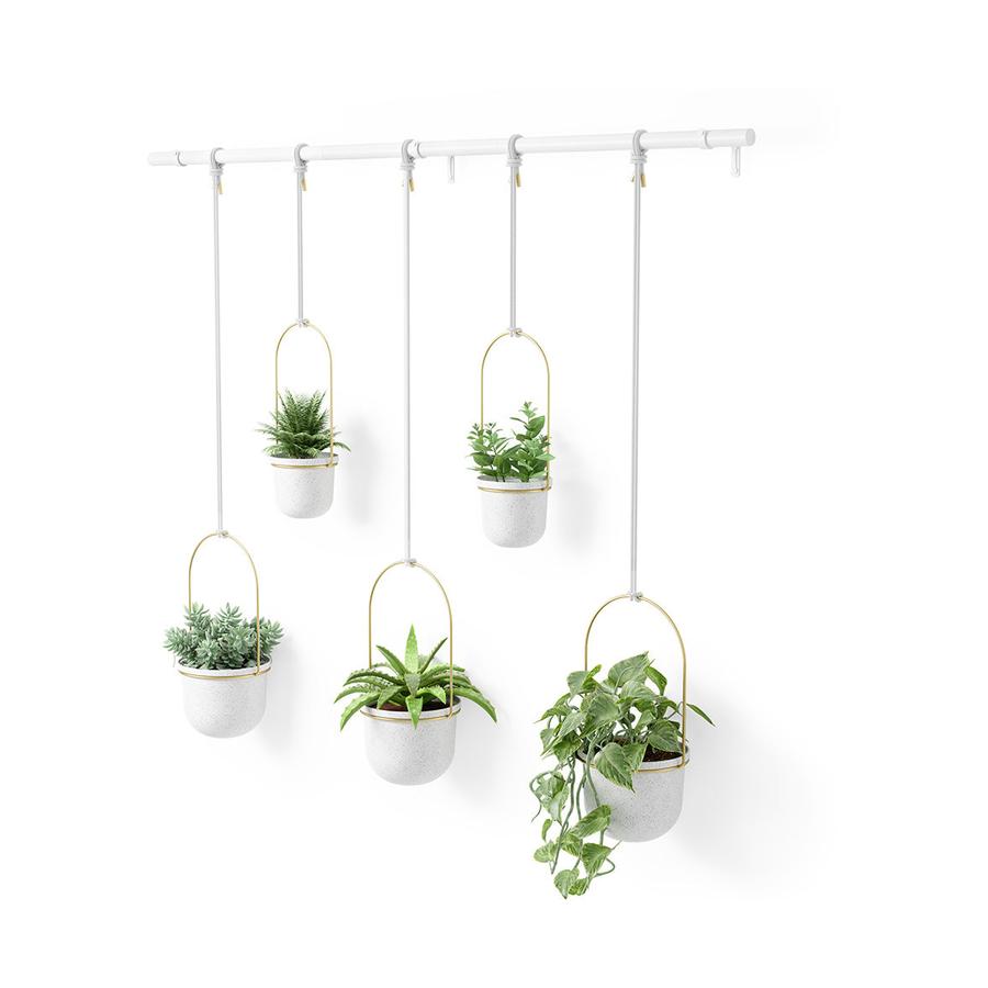 Umbra Triflora Hanging Planter (Set of 5) White/Brass White/Brass