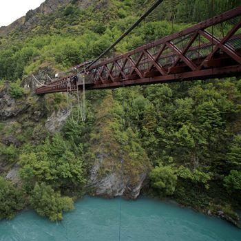 Forest, lake and bridge with bungy cord